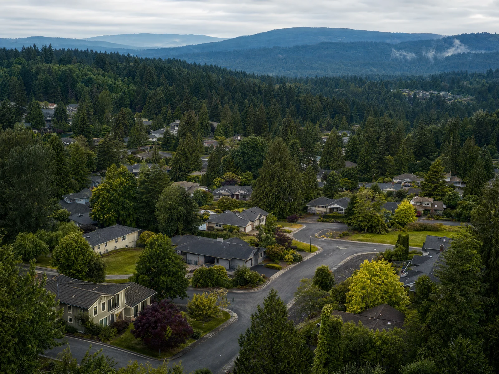 Illustrative blue-green Northwest neighborhood from above
